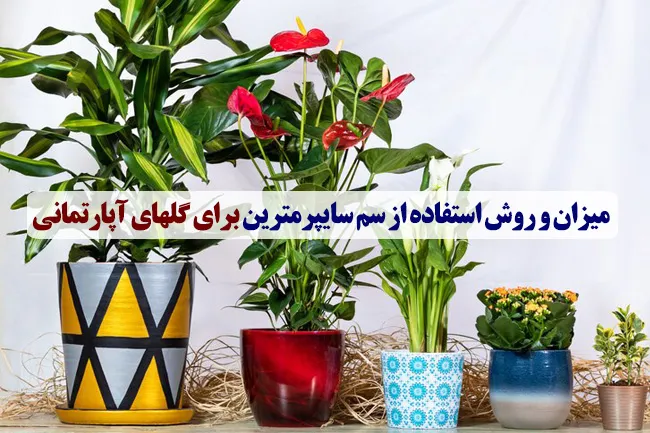 میزان استفاده از سم سایپرمترین برای گلهای آپارتمانی