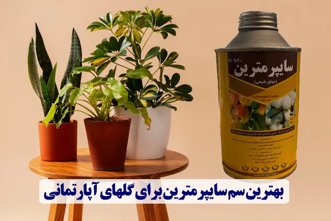 بهترین سم سایپرمترین برای گلهای آپارتمانی