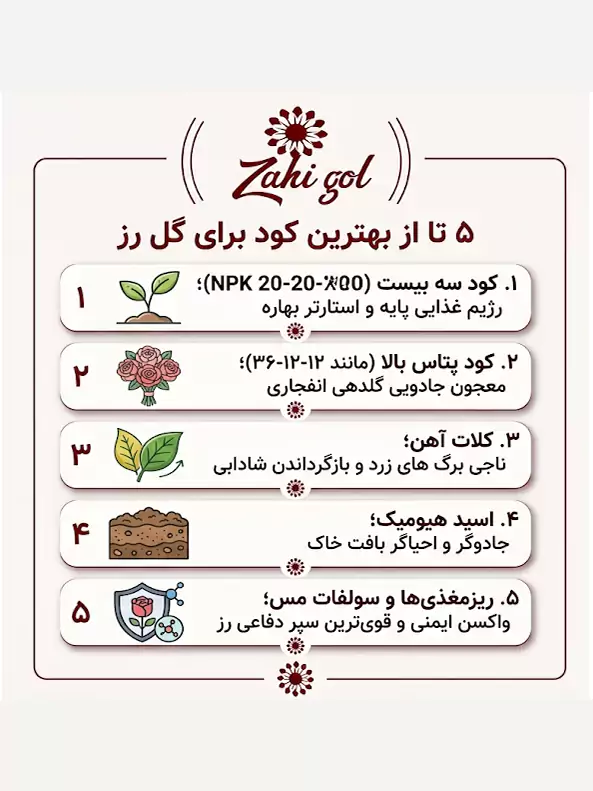 ۵ تا از بهترین کود برای گل رز
