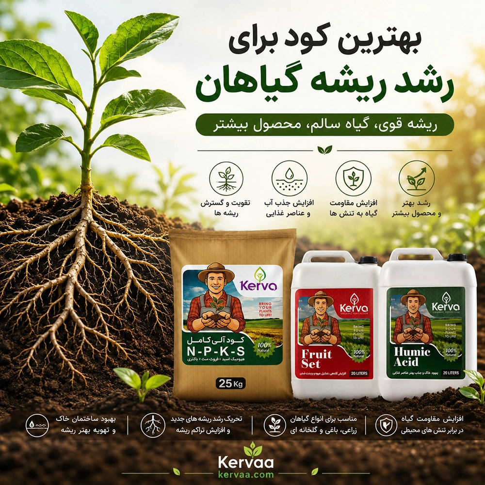 بهترین کود برای رشد ریشه گیاه